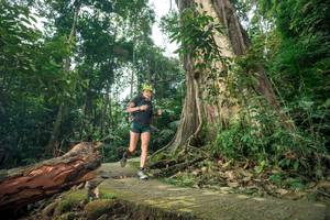 BIB: 
                            <button type="button" onclick="openModal(24809806)" class="btn btn-primary btn-sm float-right btn-popup" data-toggle="modal" data-target=".modal-high-quality">
                        <i class="fas fa-shopping-cart"></i> Add to Cart
                    </button>
                                            <button type="button" onclick="isThisMe(24809806, true)" class="btn btn-success btn-sm float-right btn-popup btn-isme hidden" data-toggle="tooltip" data-placement="bottom" title="นี่คือรูปของคุณใช่ไหม คลิกที่นี่เพื่อเอาเข้าอัลบั้ม">
                        <i class="fas fa-plus"></i> Add to album
                    </button>
                    <button type="button" onclick="isThisMe(24809806, false)" class="btn btn-warning btn-sm float-right btn-popup btn-isnotme hidden">
                        <i class="fas fa-ban"></i> Remove from album
                    </button>